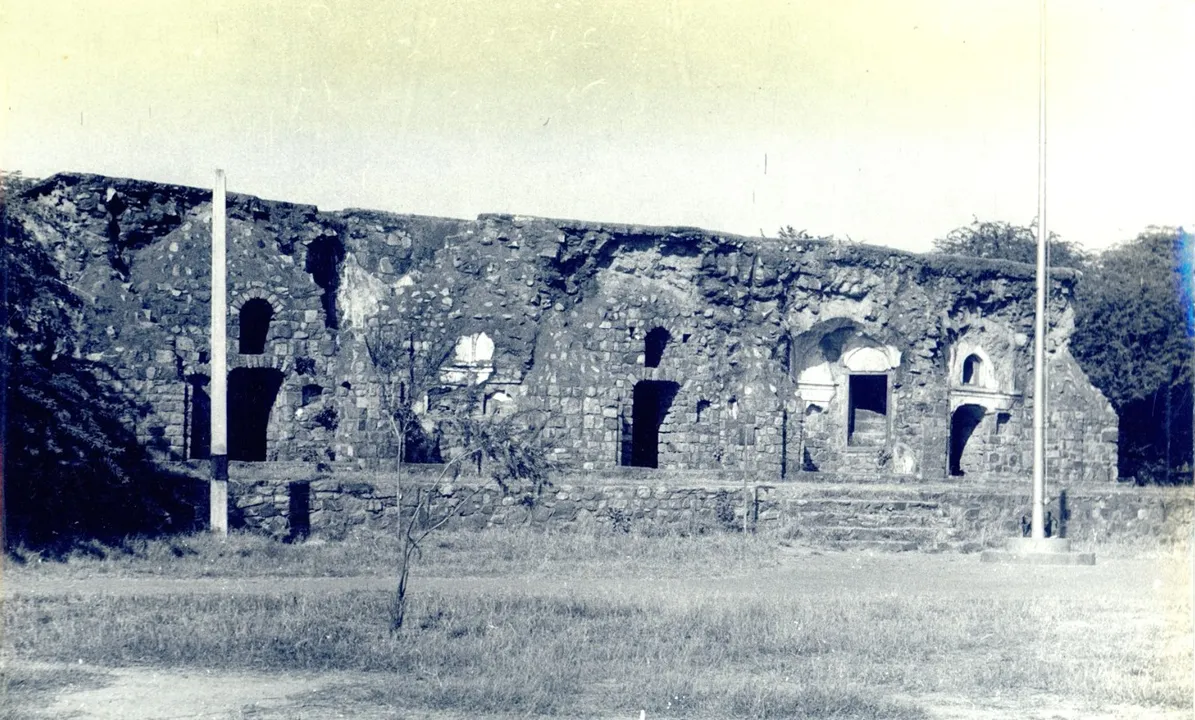 WhatsApp Image 2023-06-28 at 14.33.03